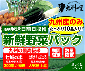 九州産新鮮野菜パック【九州の空】